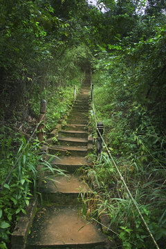 the path up © Jxxxo