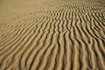 sand texture