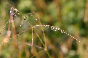 rain drop sparkle