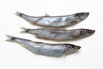 three fishes
