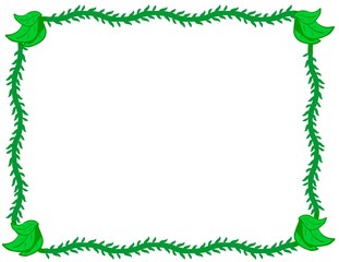 organic border