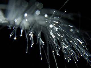 fibre optique#3