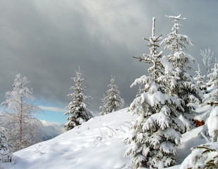 winter landscape (7)