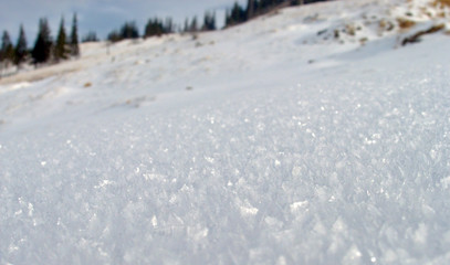 snow surface (2)