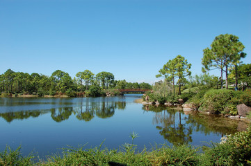 Fototapeta premium quiet nature in japanese garden