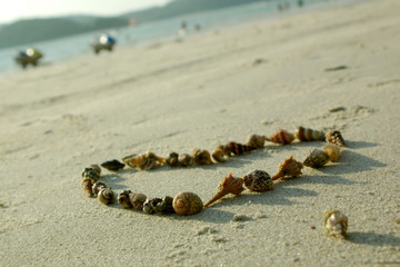 Fototapeta na wymiar heart from seashells on sand beach