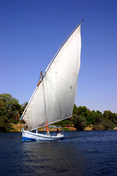 faluca del nilo