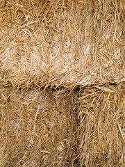 hay bale closeup