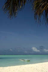 maldivian island coast by day, maldives