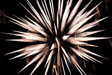 Obraz premium feu d'artifice