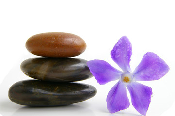 stones and purple