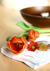 spa and healthcare setting with fresh tulip