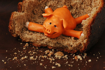 pigs paradise