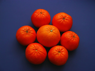 circle of tangerines with orange
