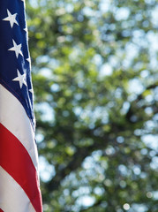 united states flag
