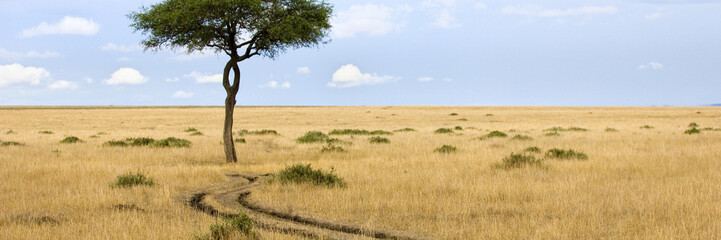 masai mara