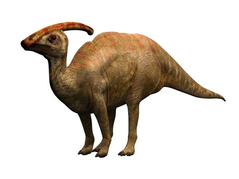 parasaulophus the dinosaur