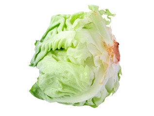 lettuce head on white