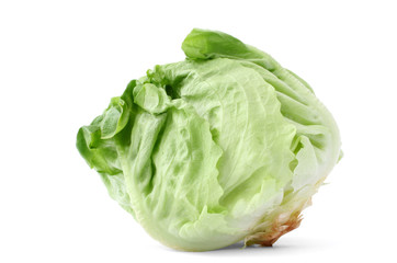 lettuce head on white