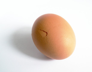 egg