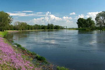 Elbe © Dreadlock