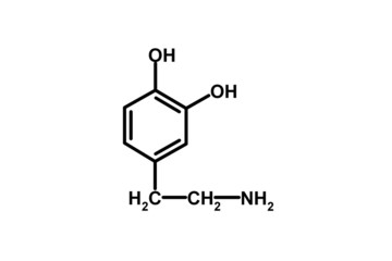 dopamine