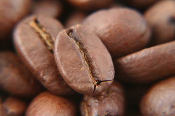 coffee beans