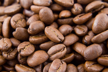 colombian coffee beans