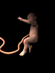 baby in womb 3