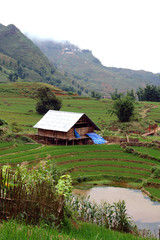 house of your dreams