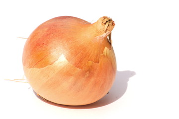 spanish onion
