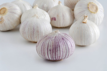 garlic