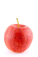 red apple on white