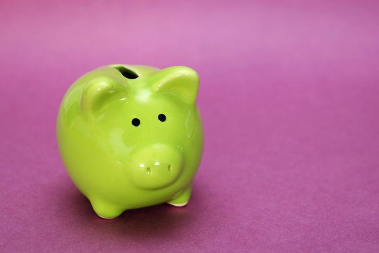 purple piggy bank