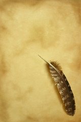quill on parchment
