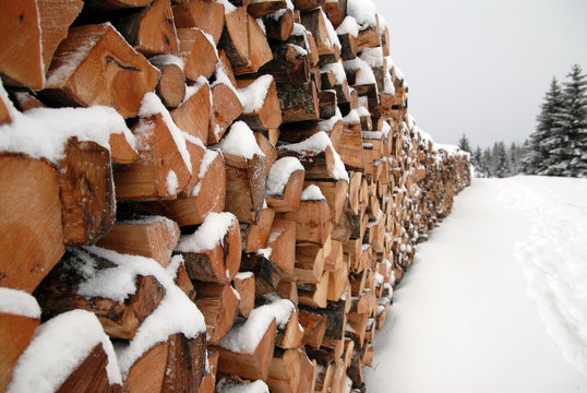 fagots de bois sous la neige