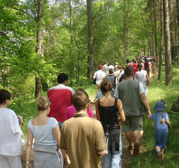 walk in the woods
