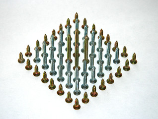 screws of different length and color.
