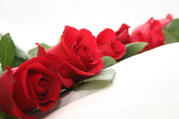 red  roses