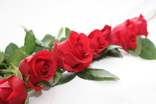 red  roses garland