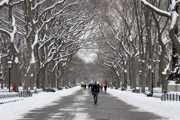 Fototapeta na wymiar Poet's Walk with snow