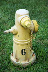 fire hydrant in grass