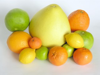Obraz na płótnie Canvas various citrus-fruits