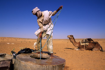 un nomade puise de l'eau d'un puits au sahara - obrazy, fototapety, plakaty