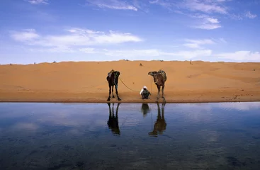 Foto auf Acrylglas Algerien Kameltreiber und Dromedare am Wasser