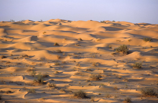 dunes de sable au sahara dans le grand erg