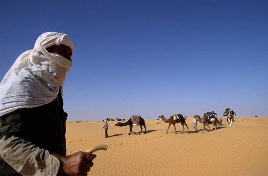 chamelier et caravane dans le grand erg occidental