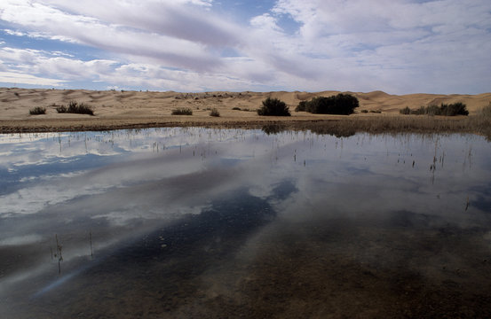 lac au coeur du grand erg occidental au sahara