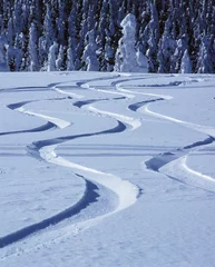 Cercles muraux Chemin de fer tracks in snow