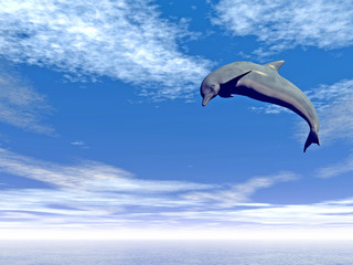 Fototapeta na wymiar jump_dolphin